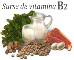 vitamina-B2